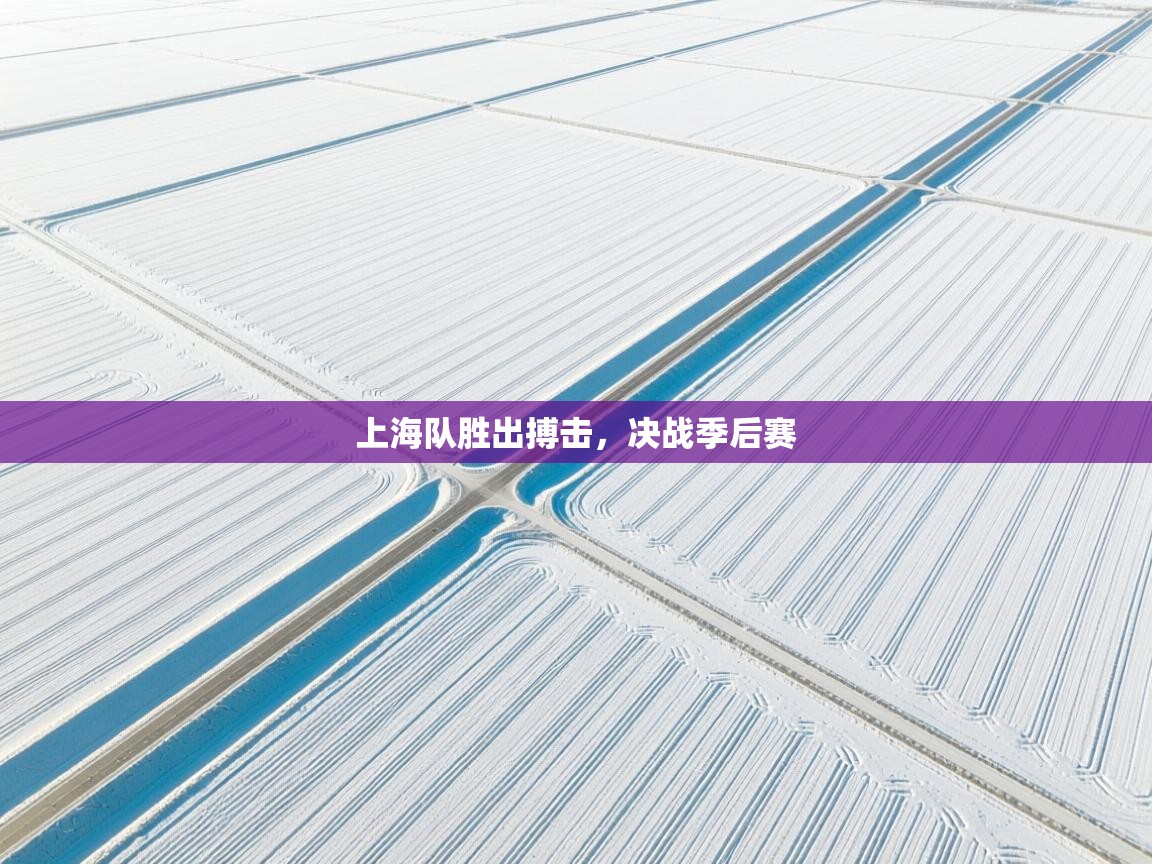 上海队胜出搏击，决战季后赛